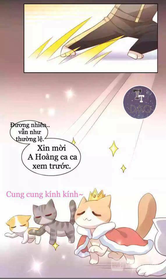 dưới móng vuốt mèo chapter 12 9