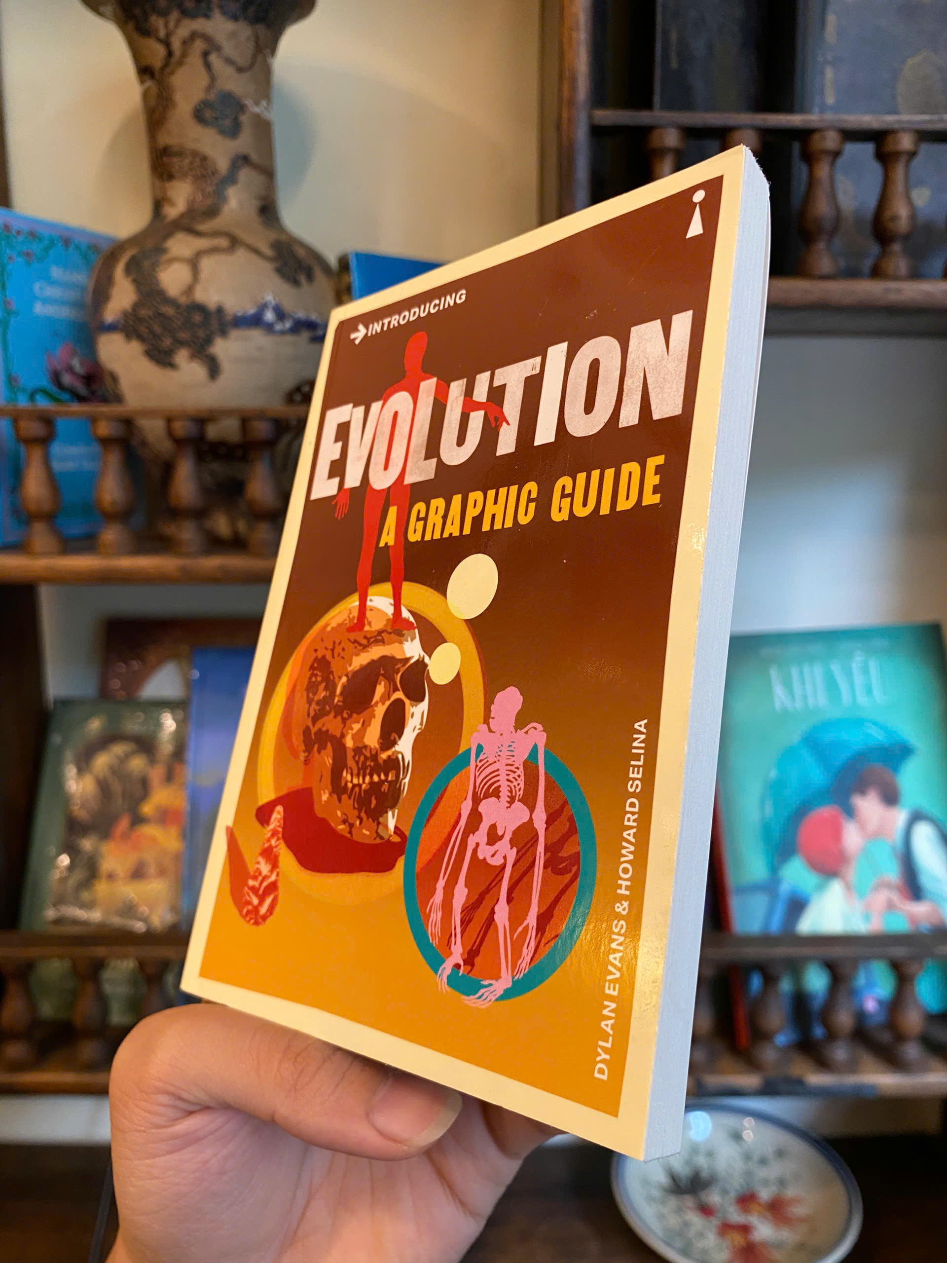 Sách - Introducing Evolution A Graphic Guide by Dylan Evans - Icon Books Graphic Guide Series