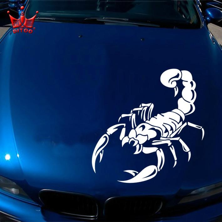 Decal bọ cạp