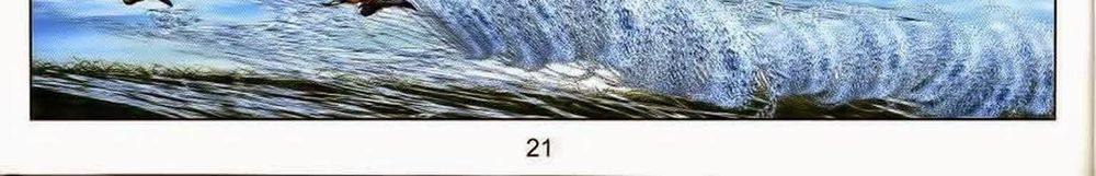 tuyệt thế vô song 2 chapter 51 40