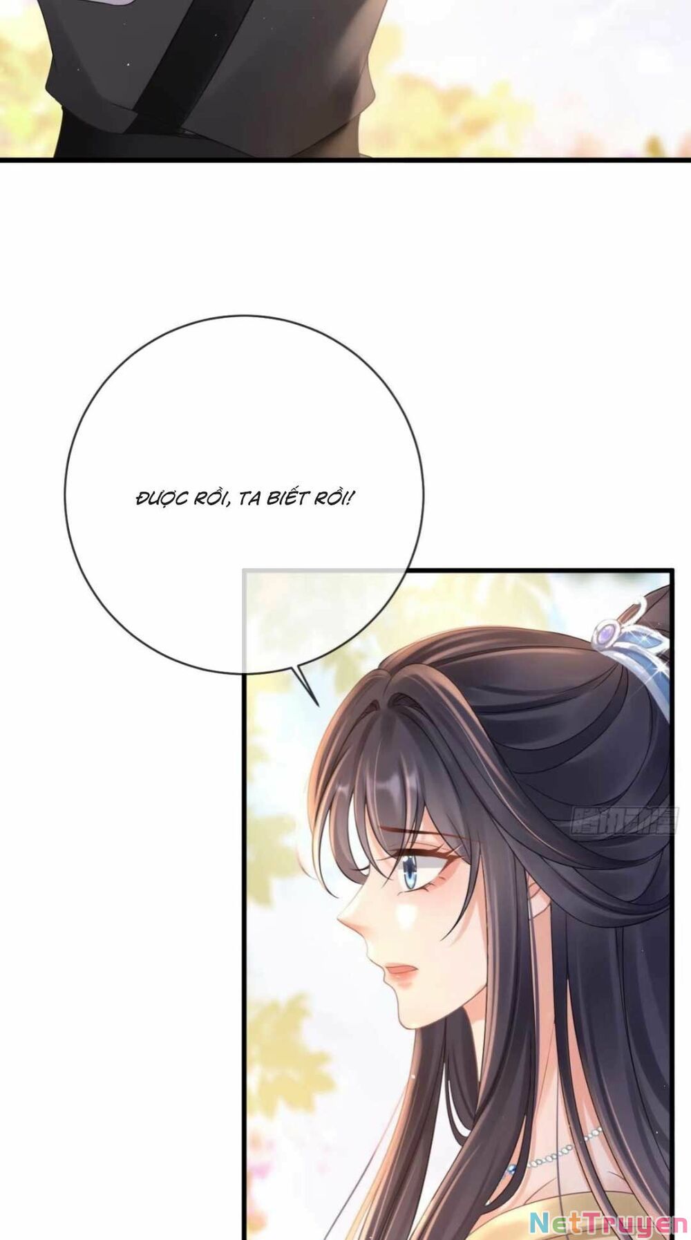 sự trả thù của vương phi chapter 9 4