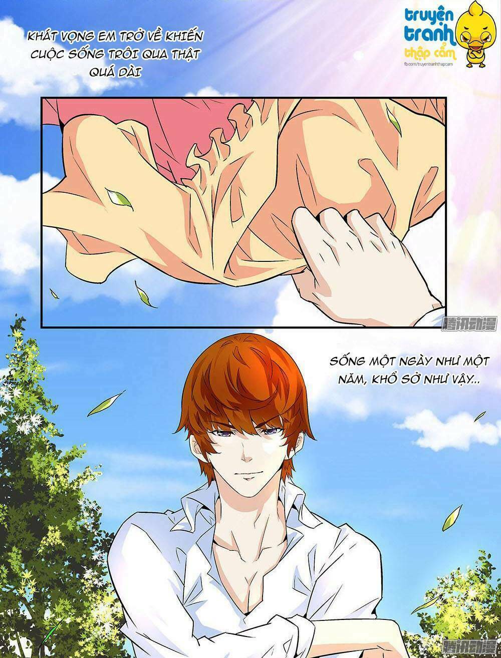 cường sủng hào môn tiểu manh thê chapter 5 12