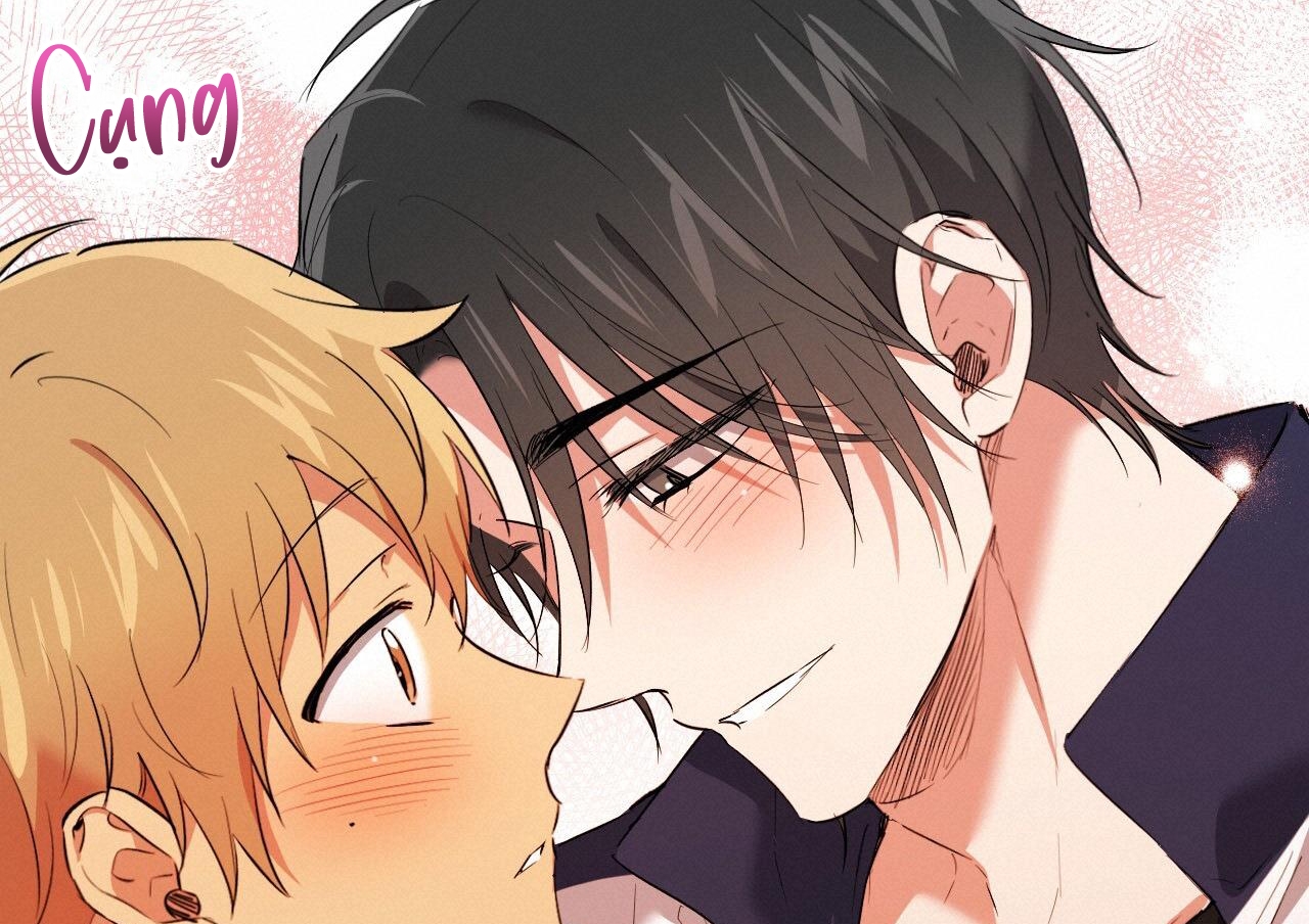 những chú thỏ của hapypy chapter 63 55