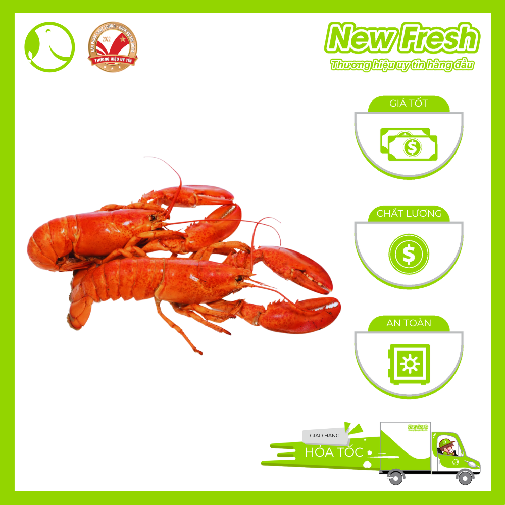Tôm Hùm Baby Canada Hấp Tiện Lợi Size 300 - 450 Gram/Con