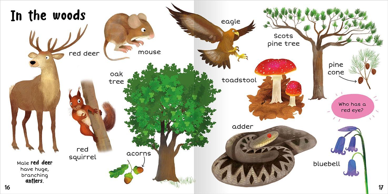 Sách ngoại văn: 100+ First Words - Nature