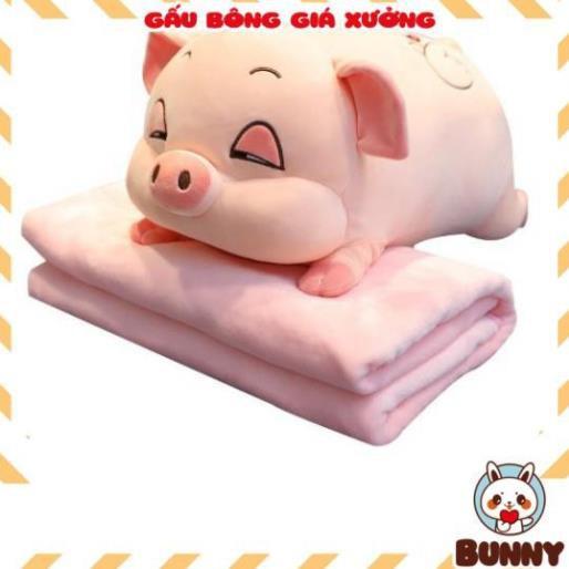 Bộ Chăn Gối Văn Phòng Chuột Hamter Siêu Đáng Yêu. Gấu Bông Đẹp Cho Bé siêu mềm mịn