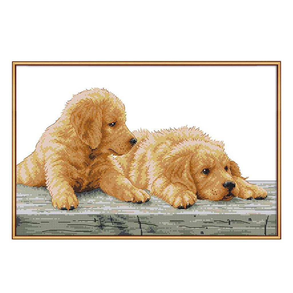 Animals Dogs Dimensions Cross Stitch Kit for Beginners 11 14 Counted Stamped