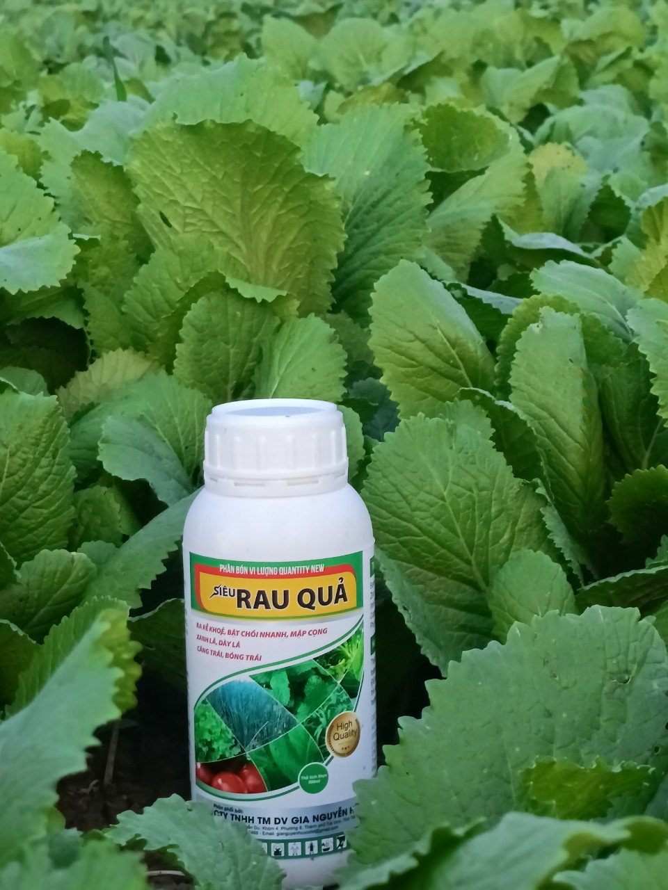 SIÊU RAU QUẢ CHAI 500ML - Kích thích rễ ra khỏe, nở bụi nhanh - Giúp cây to bẹ, trái to, bóng đẹp