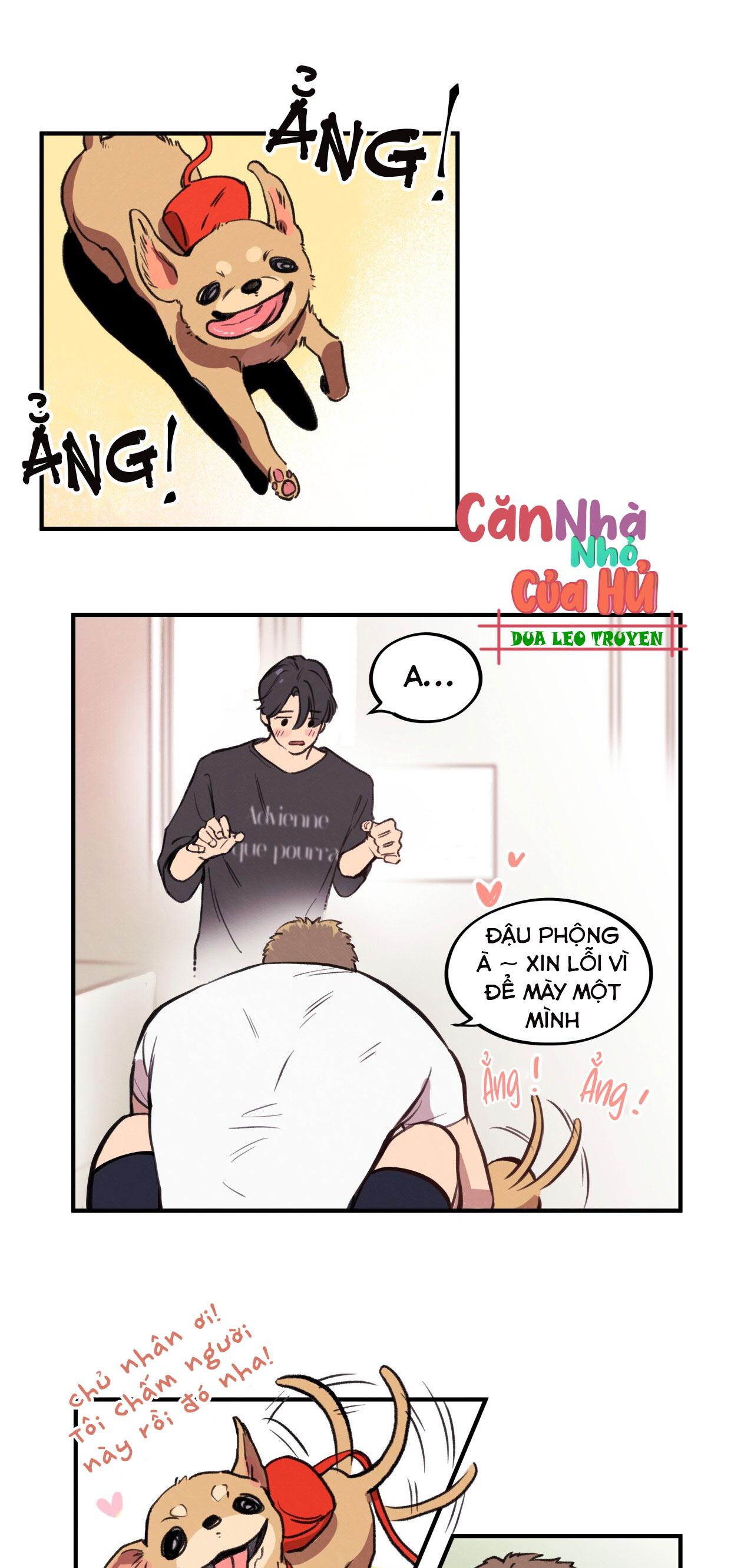 mật gấu chapter 1 31