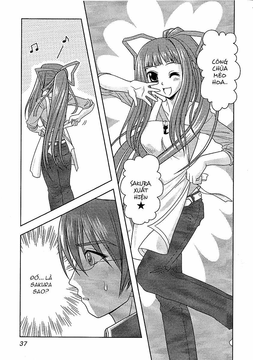 sakura no nekohime chapter 8 11