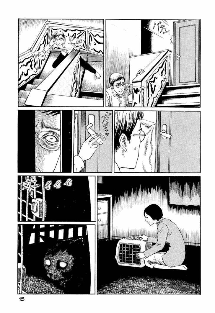 ito junji cat's diary chapter 2 3