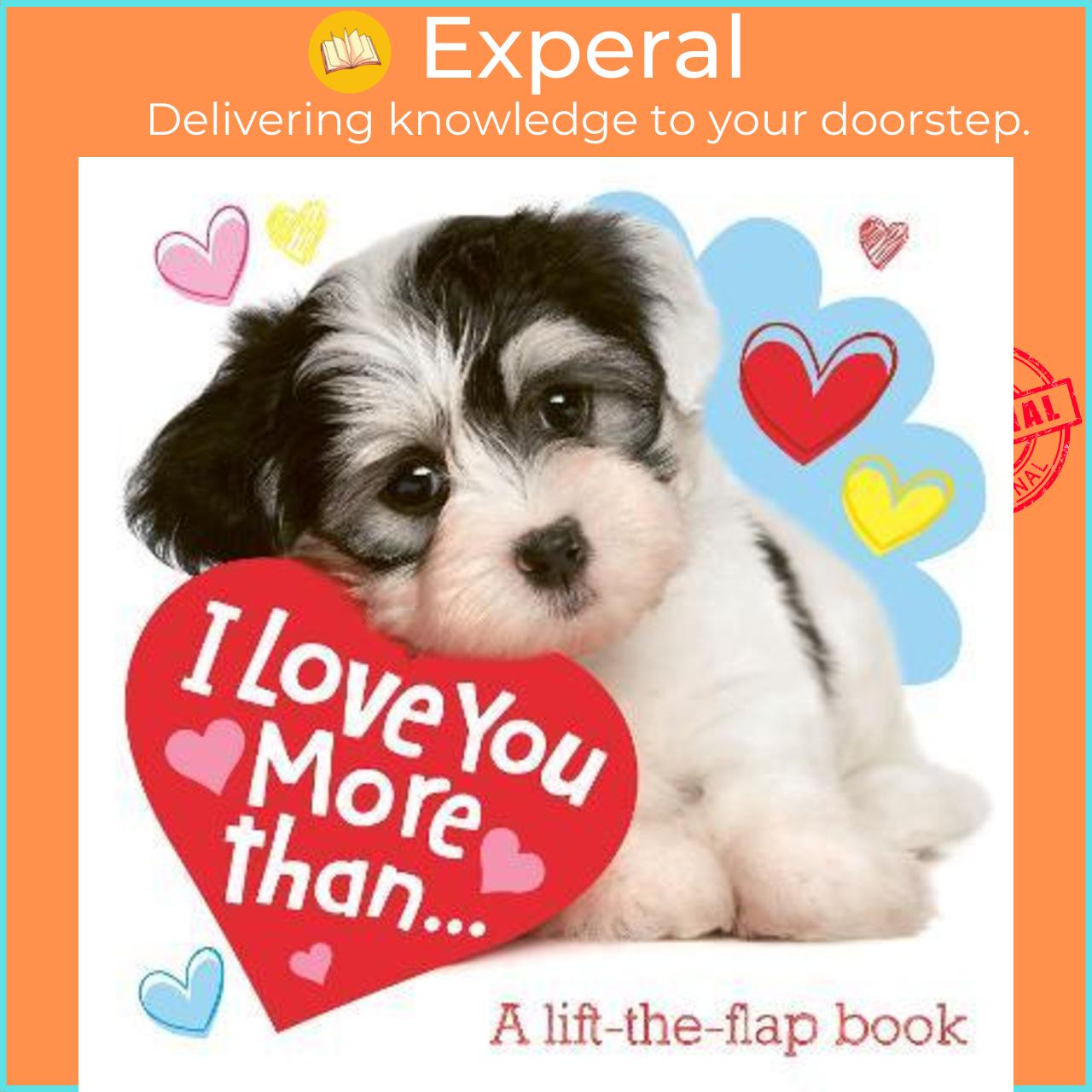 Sách - I Love You More than... by Tiny and Tim