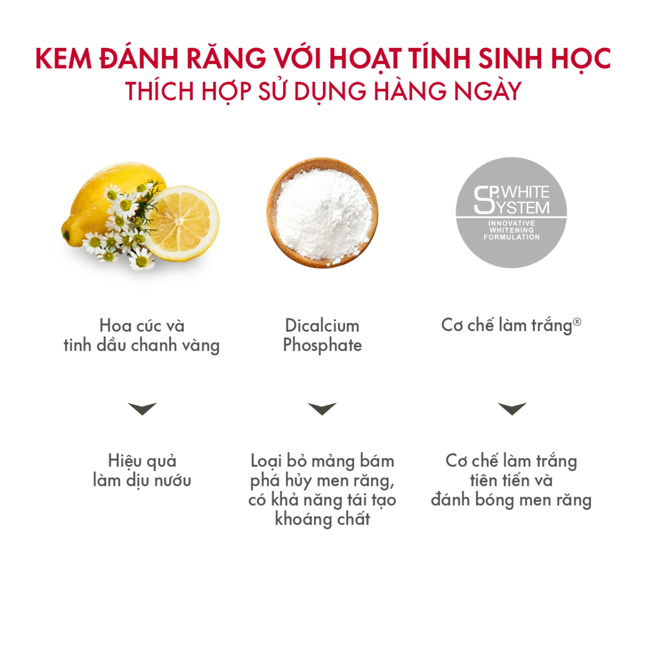 Kem Đánh Răng SPLAT Sensitive Professional series Phục Hồi Men Răng, Giúp Trắng Sáng Và Giảm Ê Buốt Dung Tích 20ml