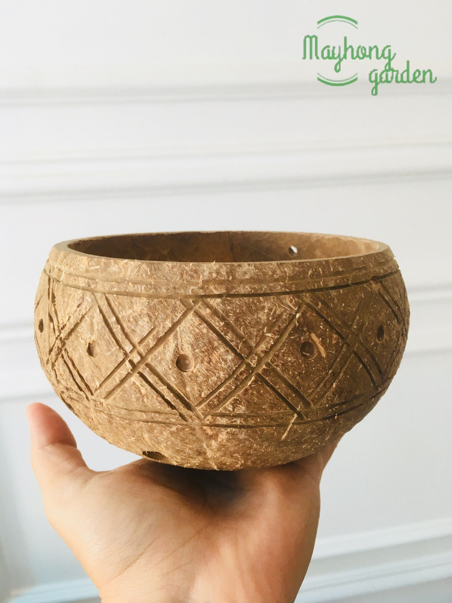 Gáo dừa trồng lan, sen đá miệng lượn, có khắc hoa văn