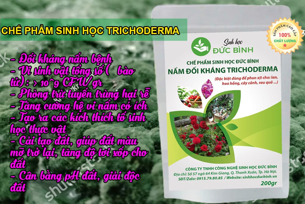 Chế Phẩm Men Vi Sinh Nấm Đối Kháng Trichoderma Đức Bình - Dùng Tưới Hoặc Phun Xịt Cho Hoa Hồng, Hoa Lan, Cây Cảnh