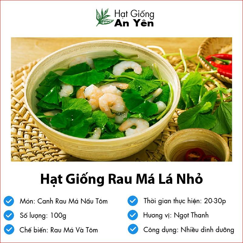 Hạt giống Rau Má Nhỏ thu hoạch sớm, dễ trồng, nảy mầm cao, sinh trưởng khoẻ