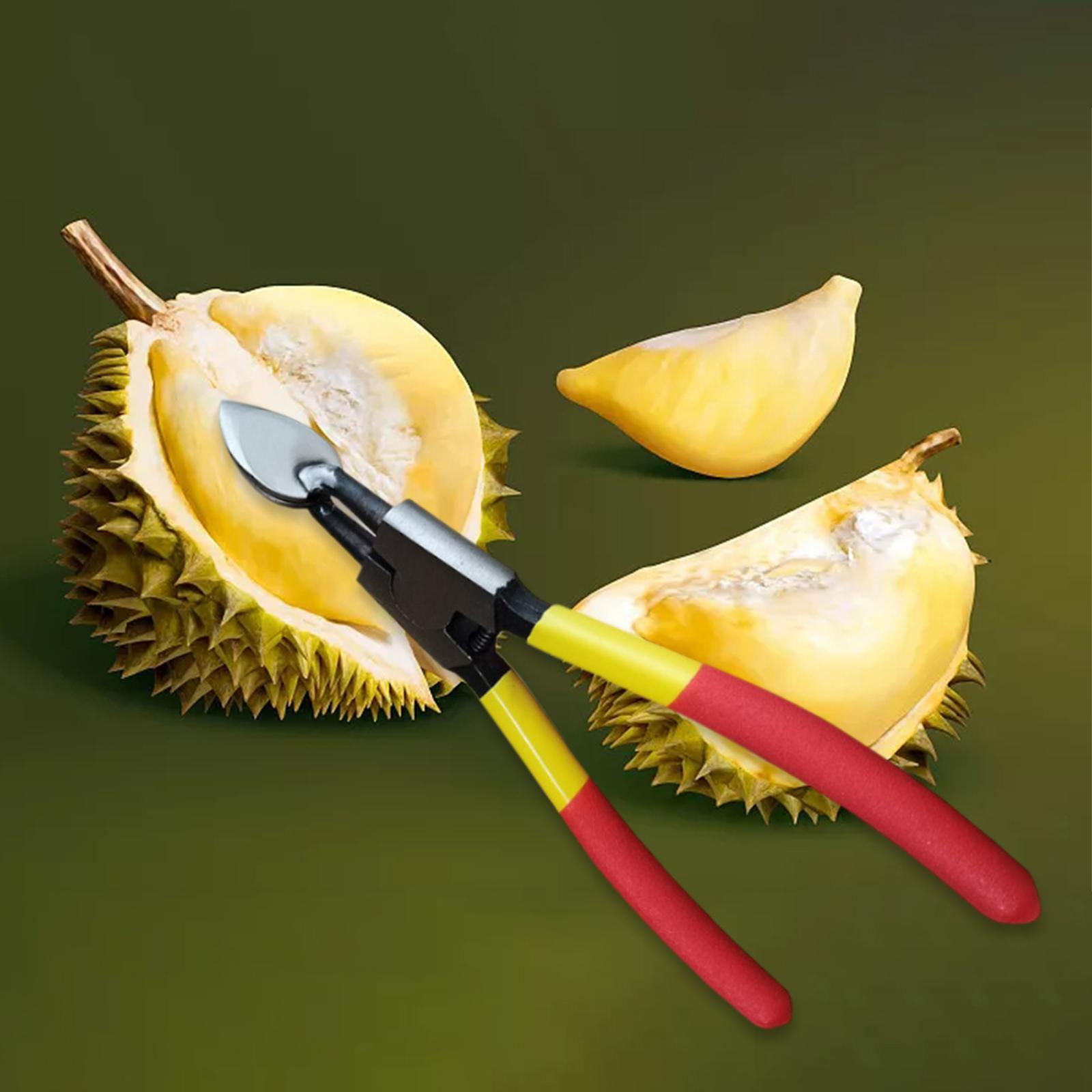 Durian Opener Manual Durian Shelling Machine for Kitchen Fruits Shop
