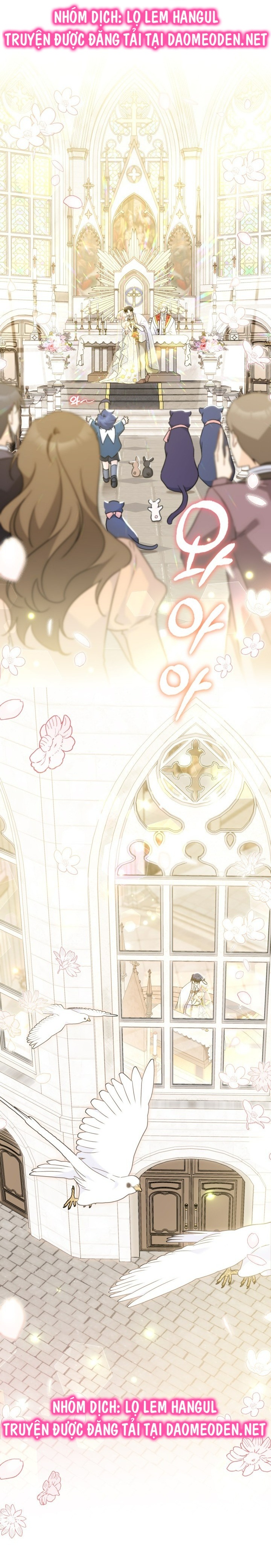 mối liên kết giữa báo đen và bé thỏ chapter 170 46