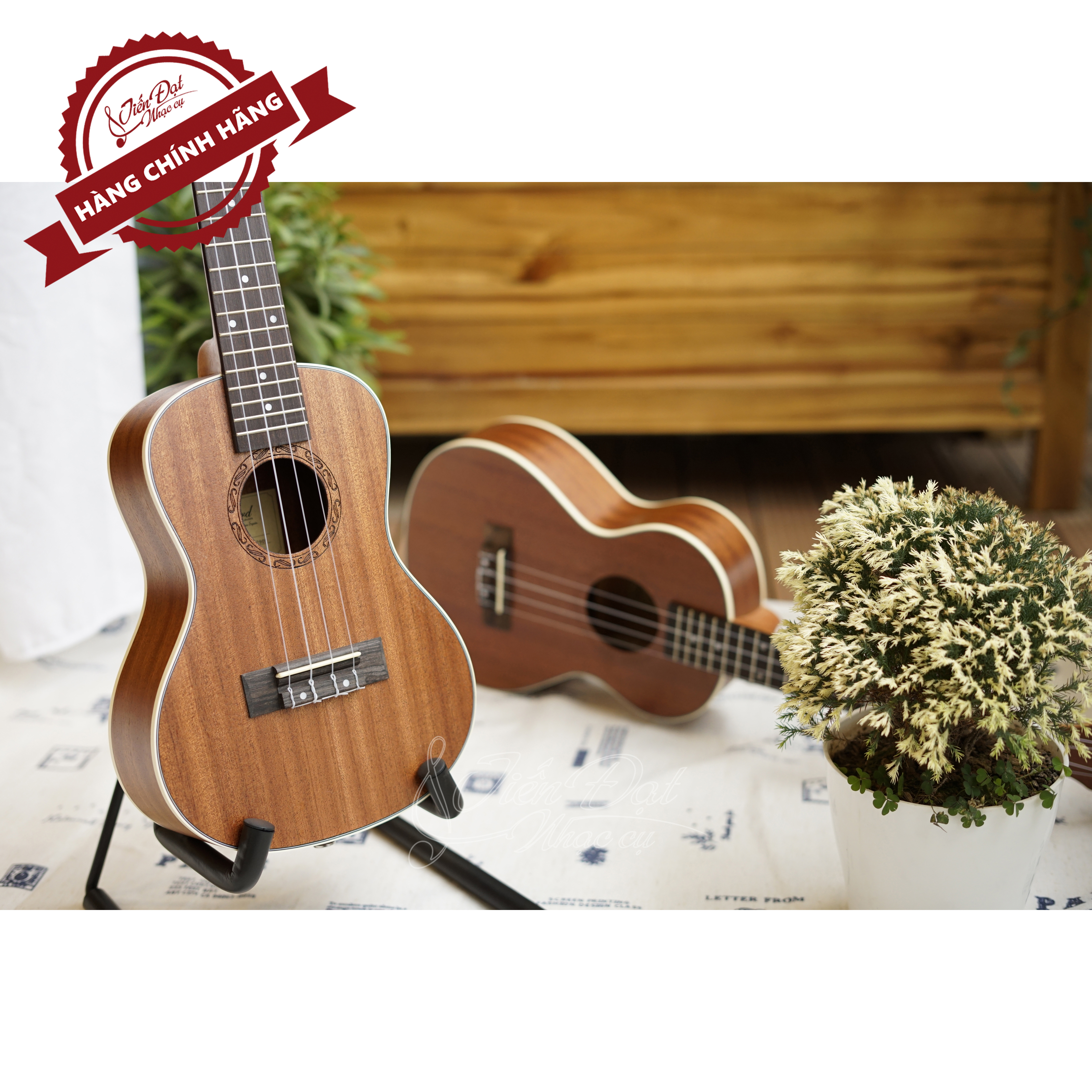 Đàn Ukulele Concert Chard U-24A, Mặt Đàn Gỗ Gụ - Hàng Chính Hãng