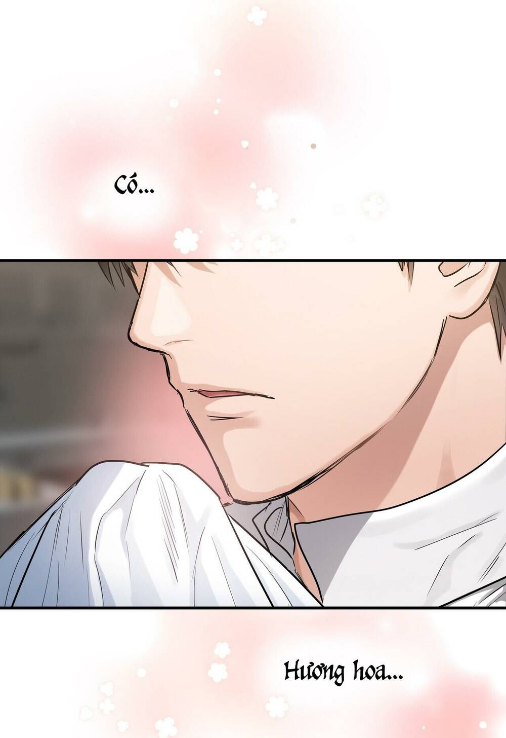 người thừa kế chapter 34 40