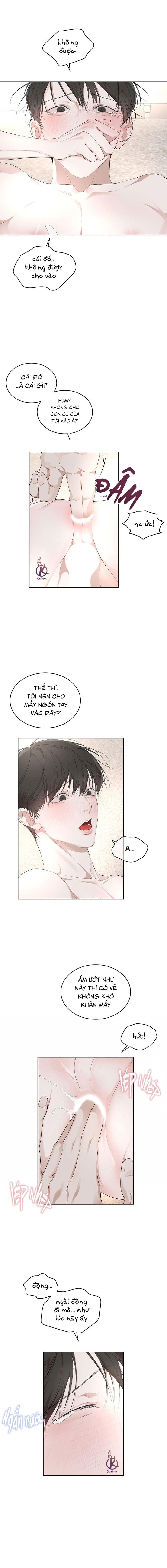 hình thái khởi sinh chapter 66 6