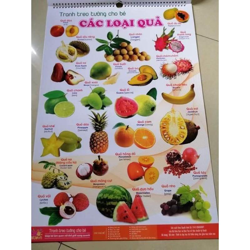 Bộ bảng học thông minh cho bé