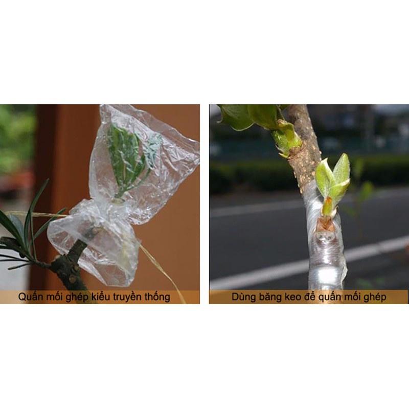 Cuộn giấy ghép cây tự hủy - khổ 6 cm - dùng cho ghép cành, ghép tán, tạo dáng cây - Anh nông dân chính hiệu