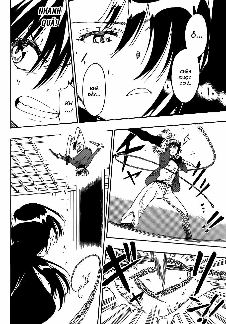 nisekoi - tình yêu giả tạo chapter 185 9