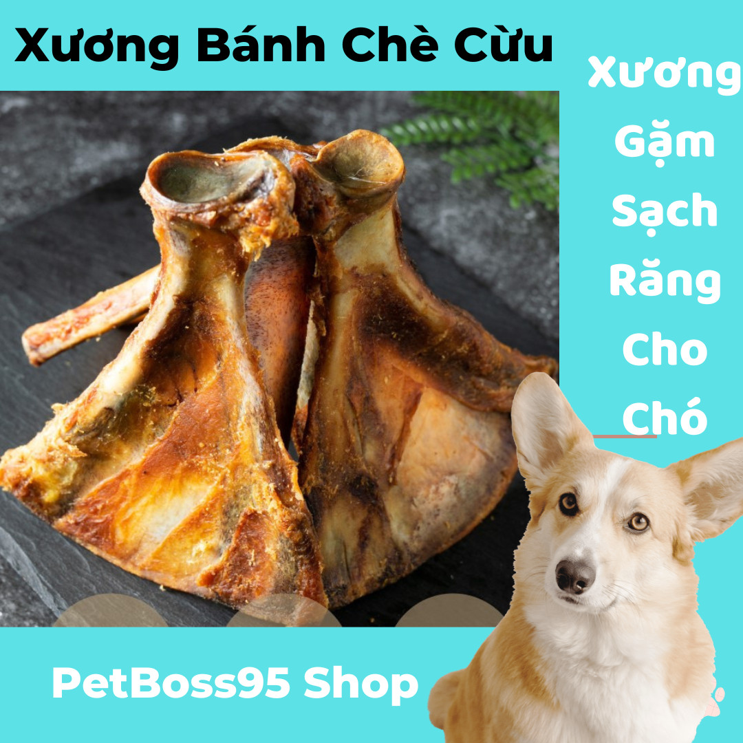 XƯƠNG BÁNH CHÈ CỪU, XƯƠNG GẶM SẠCH RĂNG CHO CHÓ