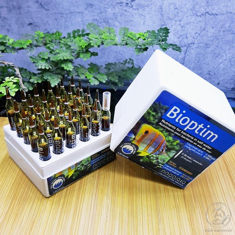 Prodibio - Bioptim | Bio Tim Cung Cấp Dinh Dưỡng Vi Sinh Và Vi Lượng Cho Bể Cá Nước Mặn