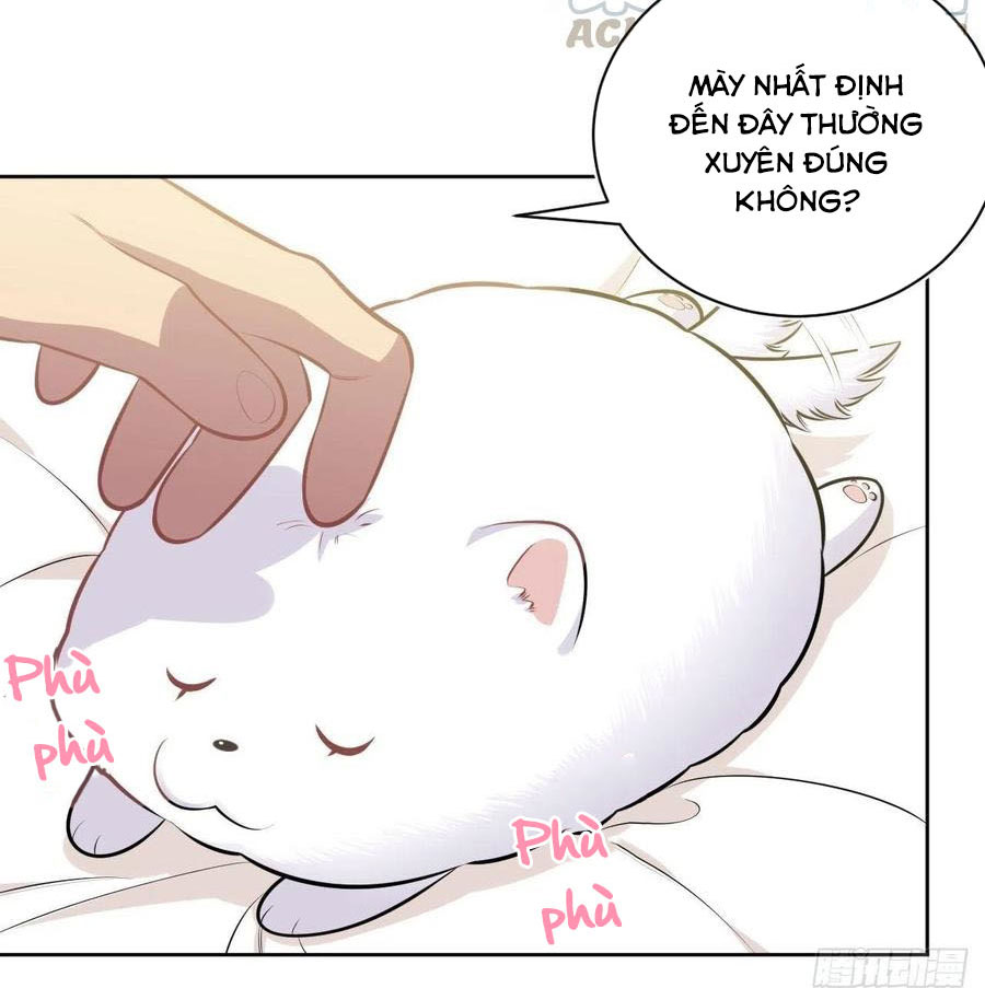 bố vợ đại nhân là bà xã chapter 137 17