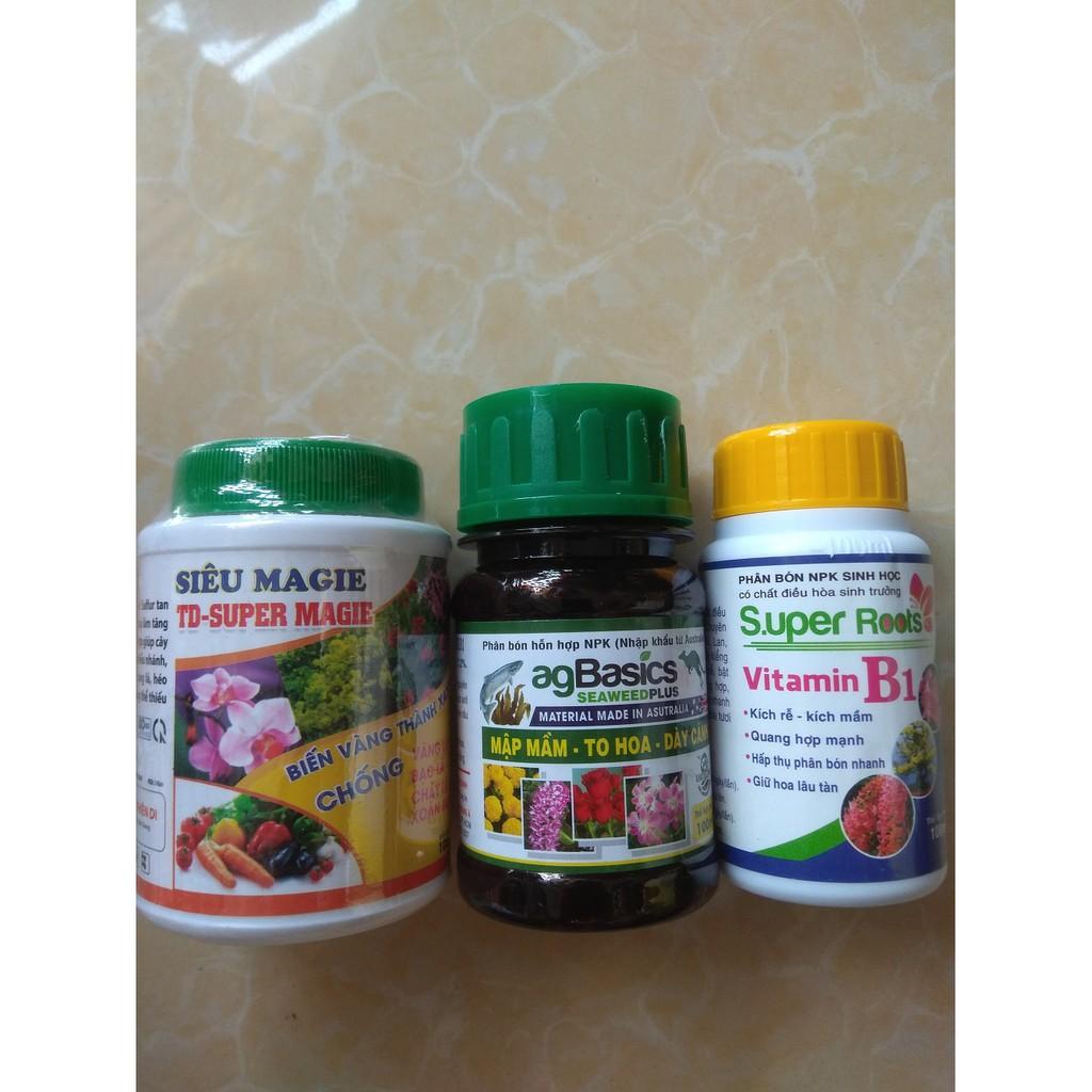 Bộ sản phẩm dưỡng cây chăm sóc cây mai, bông giấy  - 100ml/chai