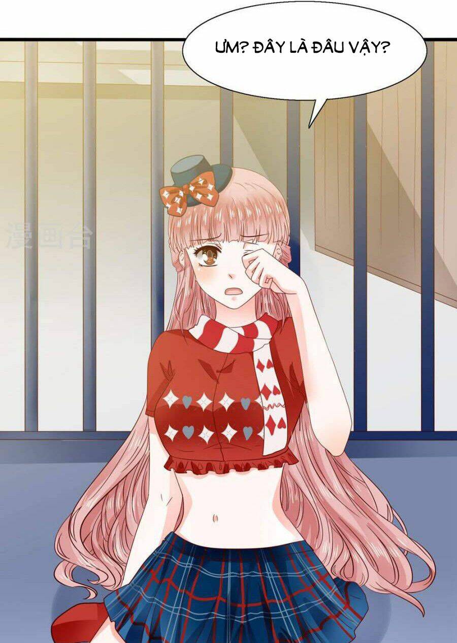 tôi bị gấu trúc nhìn trúng rồi chapter 5 21