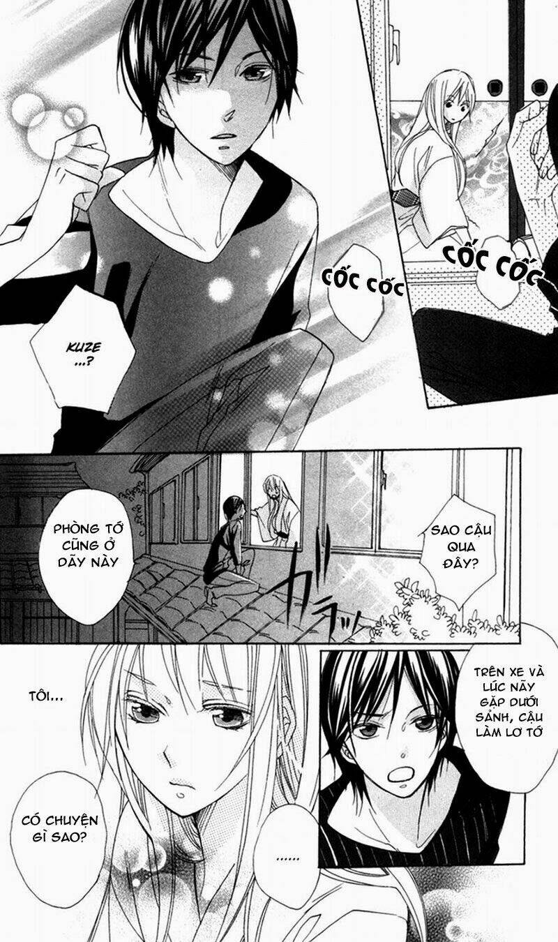 hoa hồng hoang dã chapter 4 20