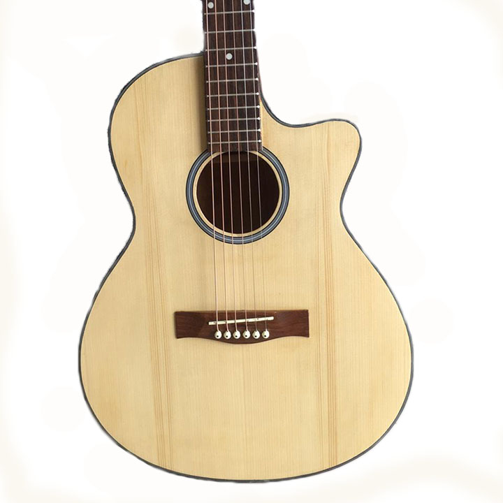 Đàn guitar acoustic SV650