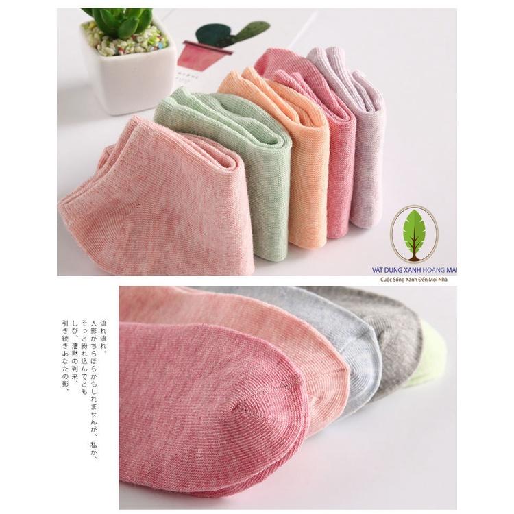 Tất Ngắn Cổ Nữ BASIC, Xuất Nhật, Chất Liệu Cotton, Rất Đẹp, Nhiều Màu, Dày, Thoáng