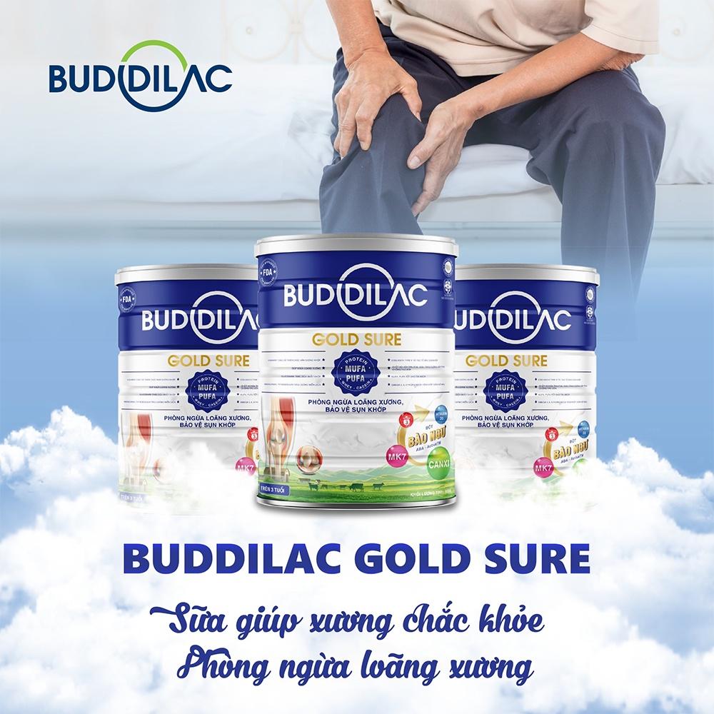 Sữa Bột BUDDILAC Gold Sure Phòng Ngừa Loãng Xương Tăng Cường Miễn Dịch Cho Người Lớn Lon 900gr