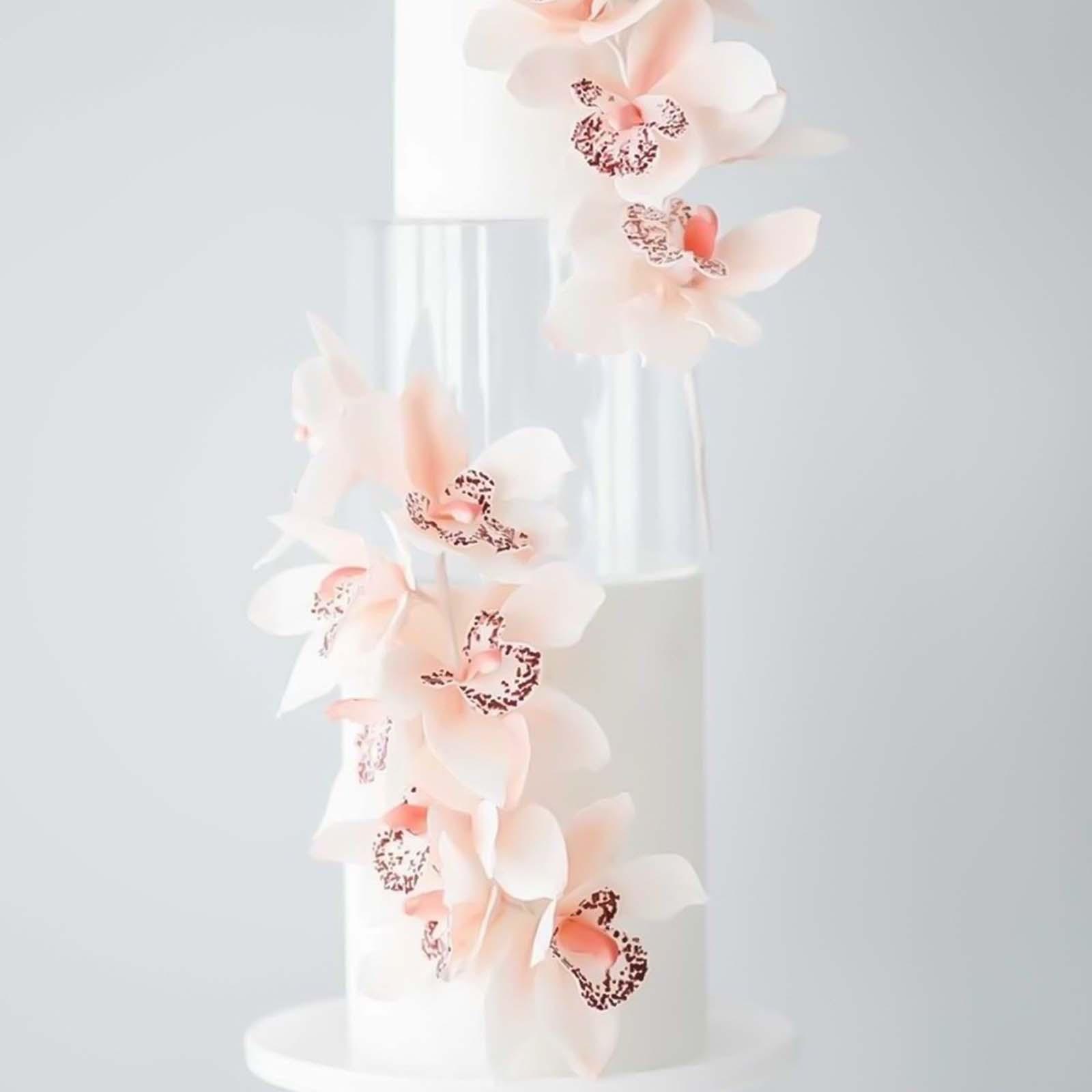 Stand Riser Cake Riser Cake Tier Cake 15cm x 20cm x 0.3cm