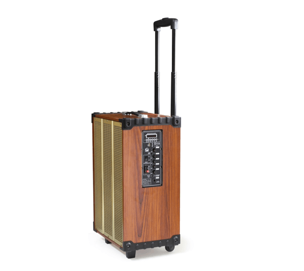 Loa kéo Arirang MKS1 300W Bass 30cm 12'' - Hàng Chính Hãng