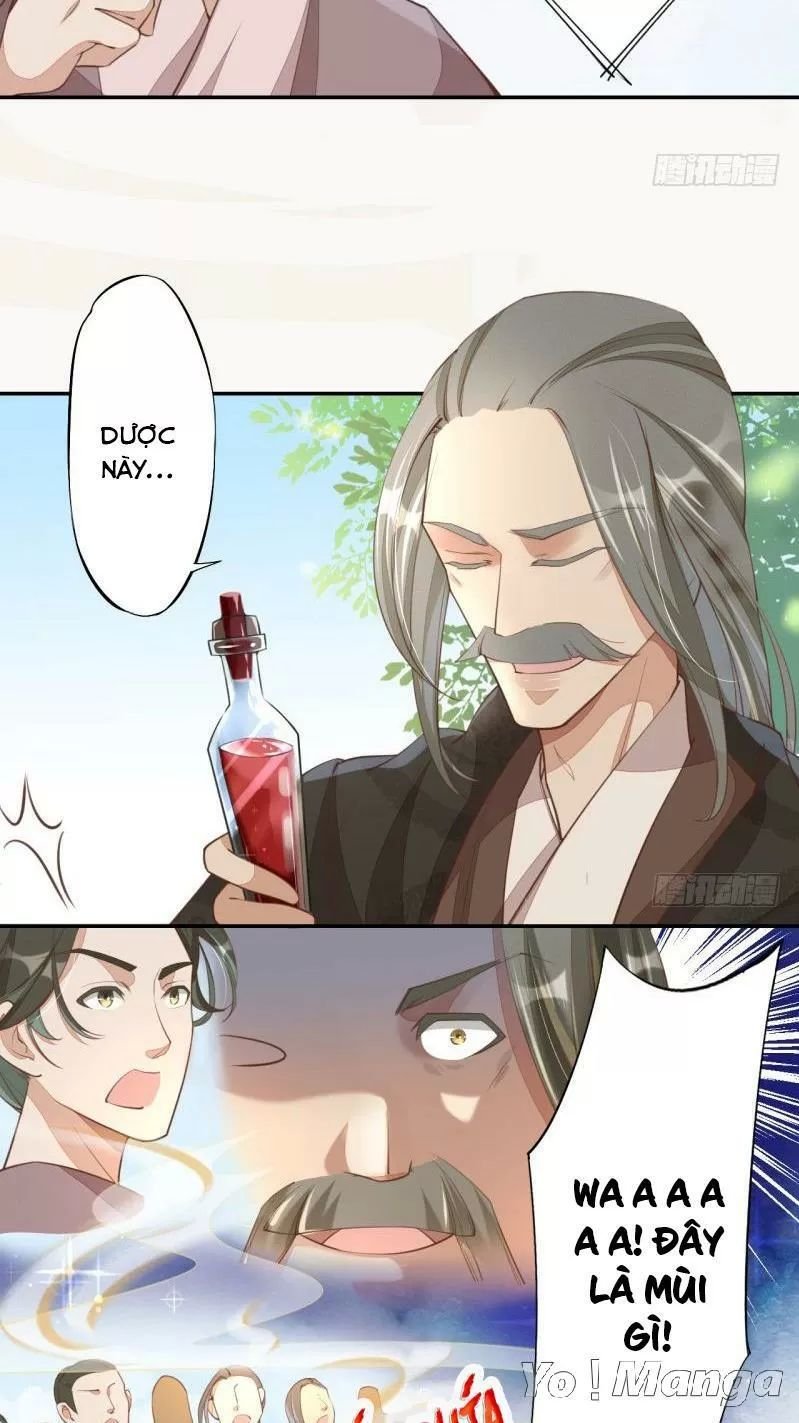 tuyệt thế luyện đan sư chapter 66 18