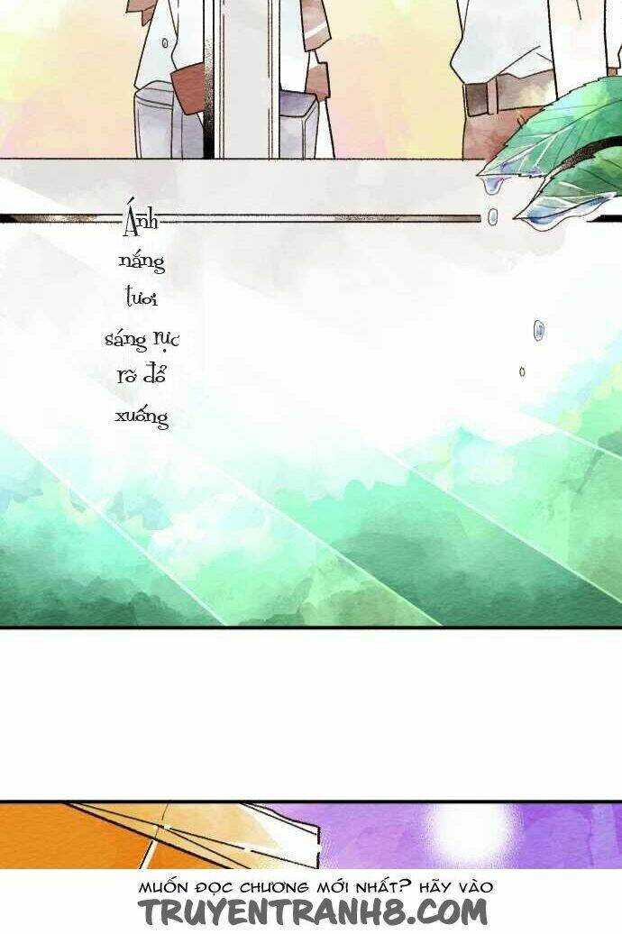 koe koi chapter 13 43