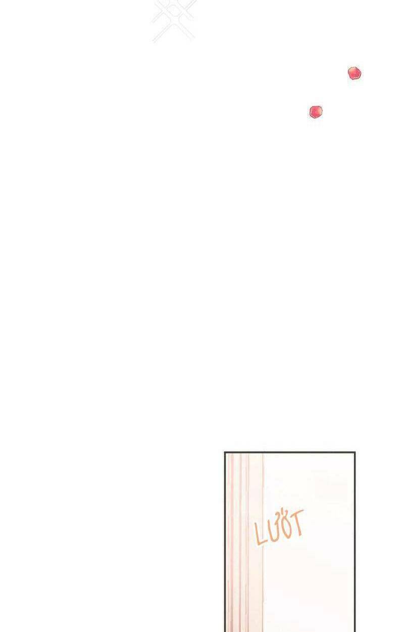 giấc mộng đêm hè chapter 1.1 55