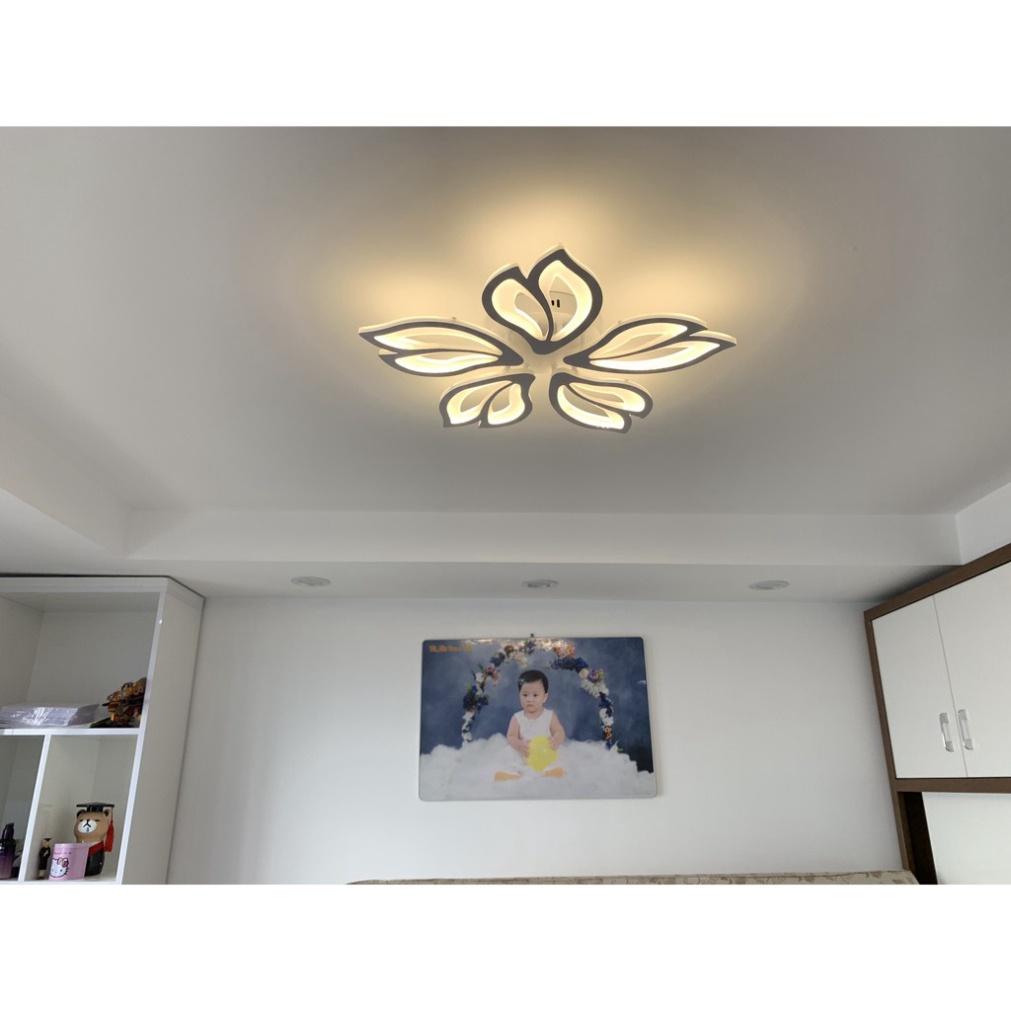 Đèn led ốp trần , đèn ốp trần tô điểm phòng tiếp khách cánh hoa,3 hình thức sáng kèm chỉ huy từ xa