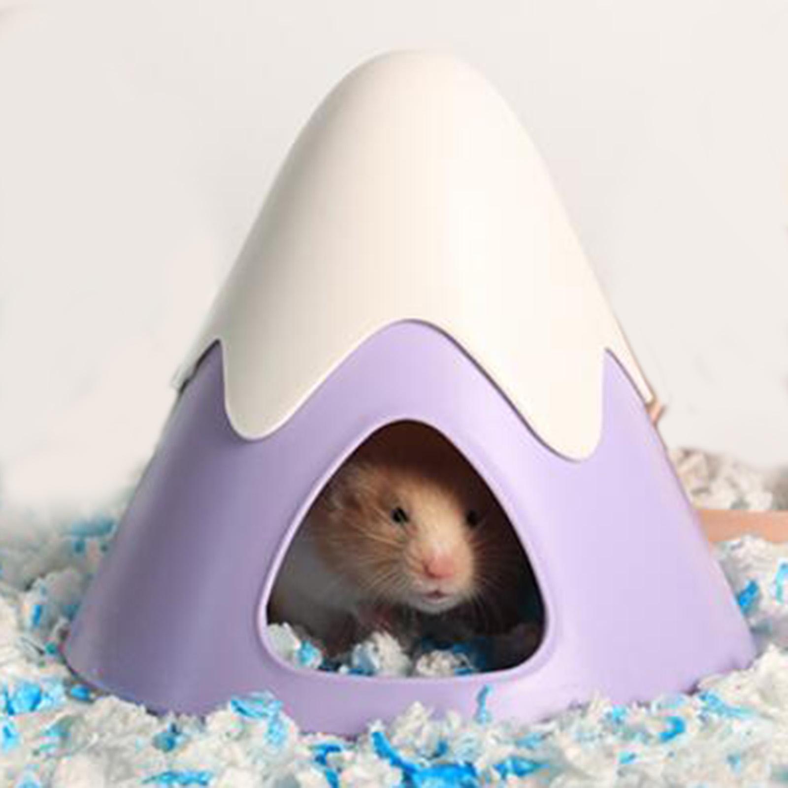 Hamster Houses violet