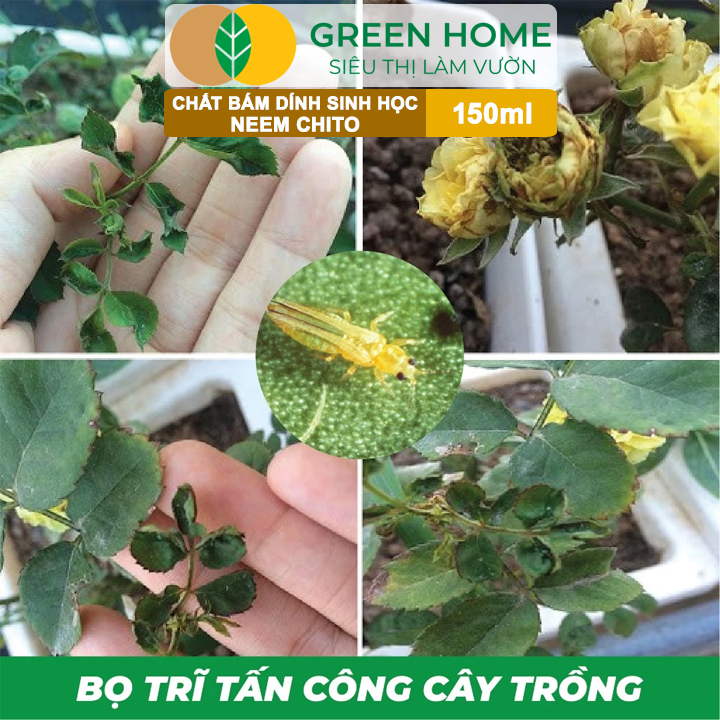 Chất Bám Dính Sinh Học Neem Chito GreenHome, 150ml,Kháng Khuẩn Hạn Chế Bệnh Cháy Lá, Trị Bọ Trĩ, Rầy