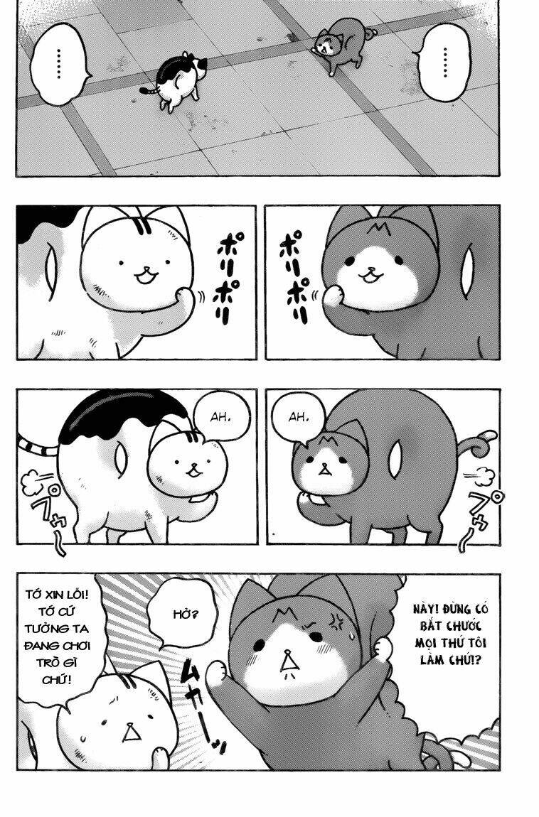 donyatsu chapter 40 4