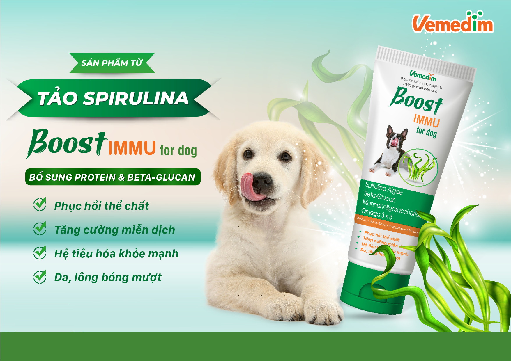 Tuýp bổ sung protein &amp; Beta-glucan cho Chó Vemedim Boost IMMU For dog Tuýp 60gr Giúp tăng cường miễn dịch Lông bóng mượt