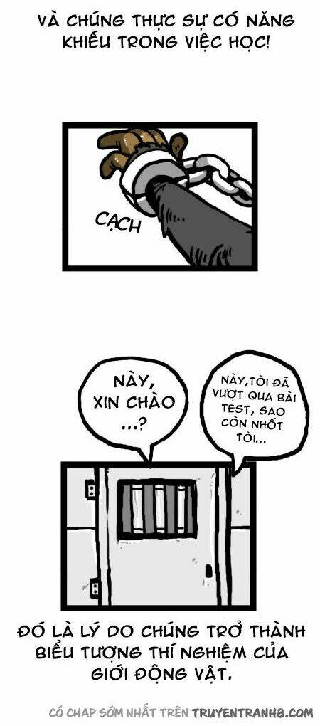 earth, human, and animal chapter 15 21