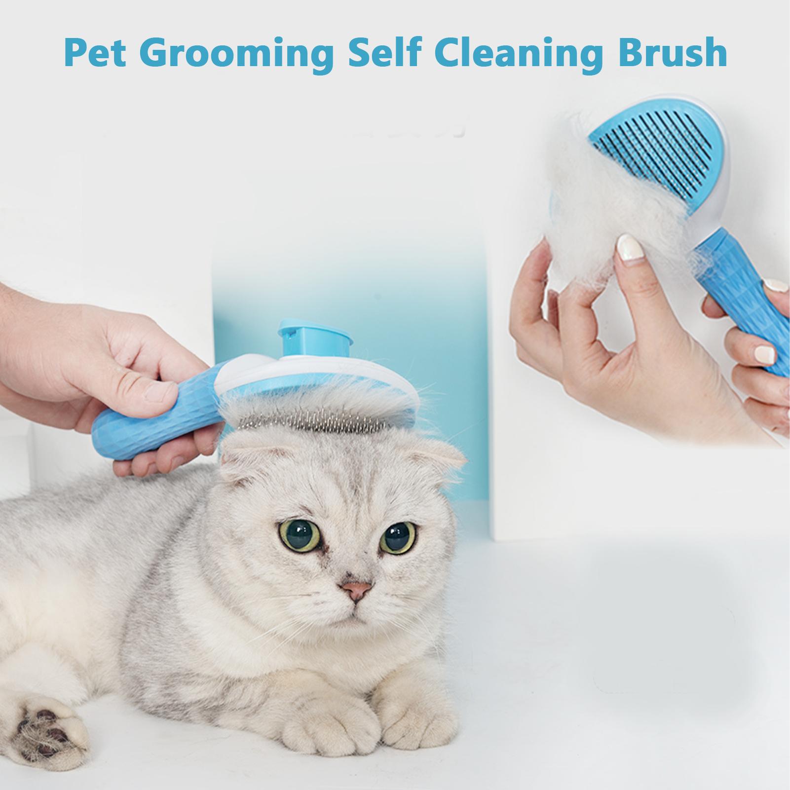 Bàn chải chải lông cho thú cưng