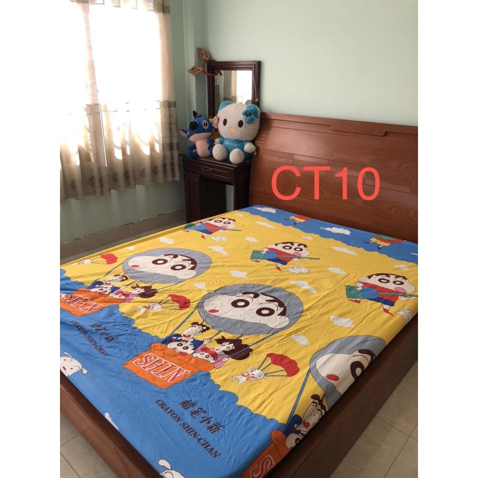 Ga chống thấm cotton cao cấp 1m6x2m/1m8x2m cao 10cm